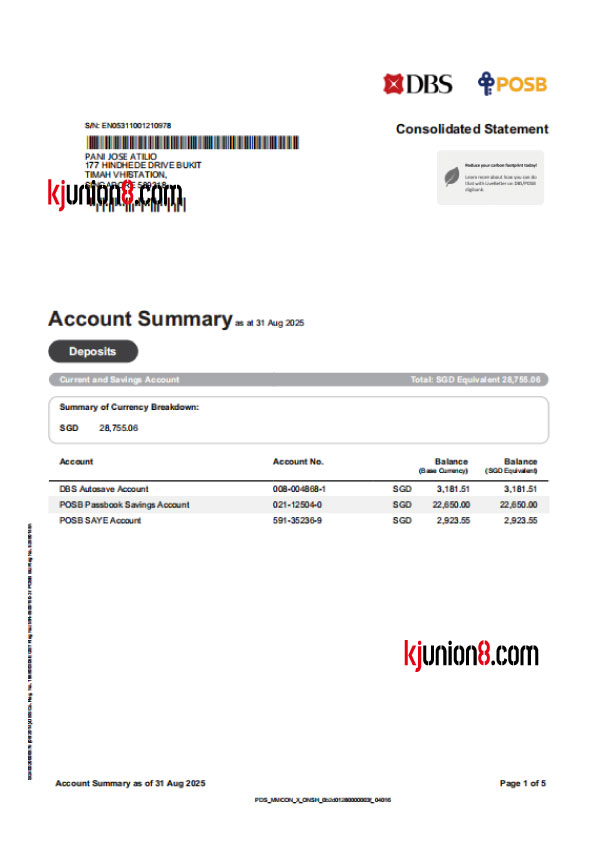 星展银行（新加坡）银行对账单