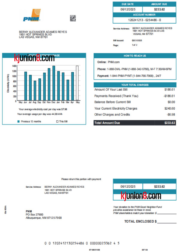 新墨西哥州电力账单---1 美国电费账单