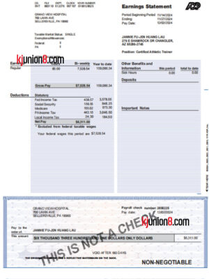 格兰德维尤医院薪资单