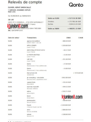 Qonto银行对账单