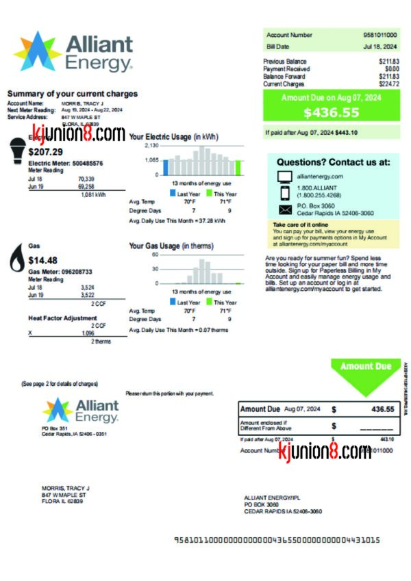 美国电费和燃气费账单