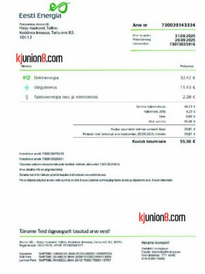爱沙尼亚电费账单 爱沙尼亚电费账单