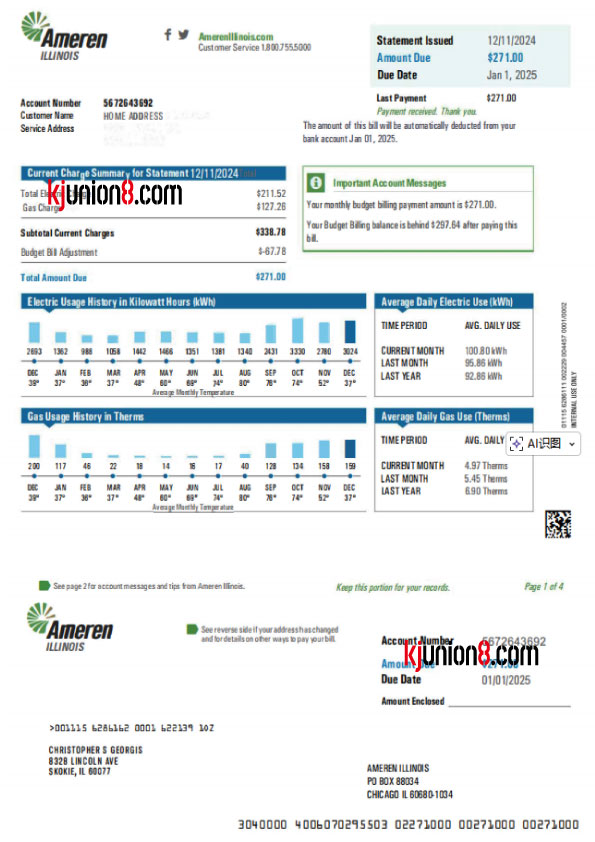 美国伊利诺伊州-电力 美国电费燃气费账单