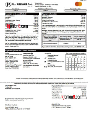 First PREMIER Bank信用卡对账单