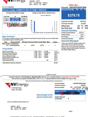 美国内达华州电费账单