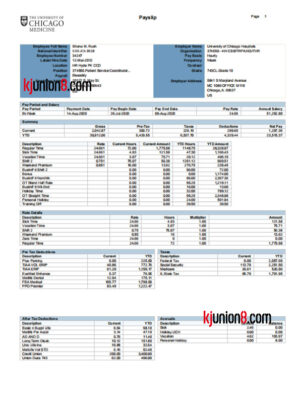 芝加哥大学医学中心员工薪资单