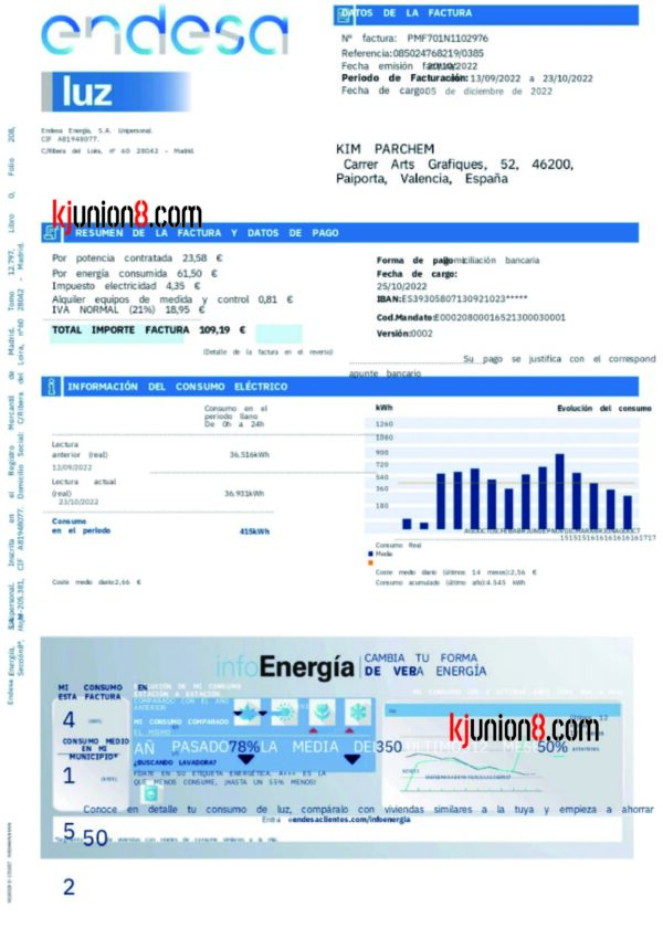 西班牙电费账单