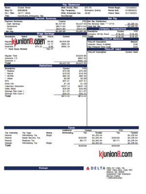 达美航空CrystalSimon双周薪资单