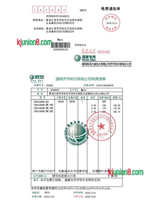 国家电网电费账单