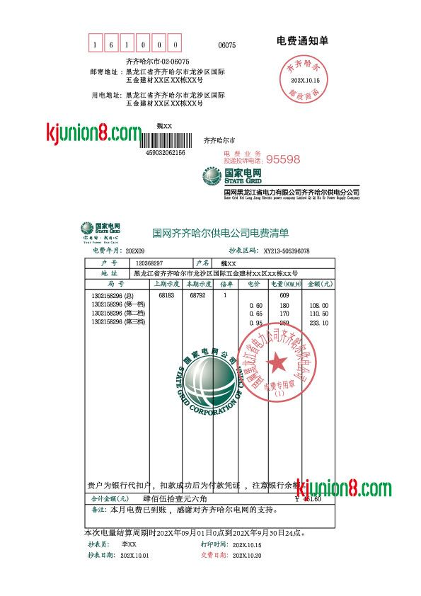 8a49233b-47f2-4ac9-8d4e-1b905df2f2f1 国家电网电费账单
