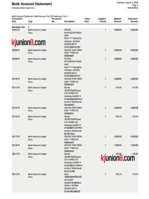 Anomaly-Action-Sports-Inc-银行对账单