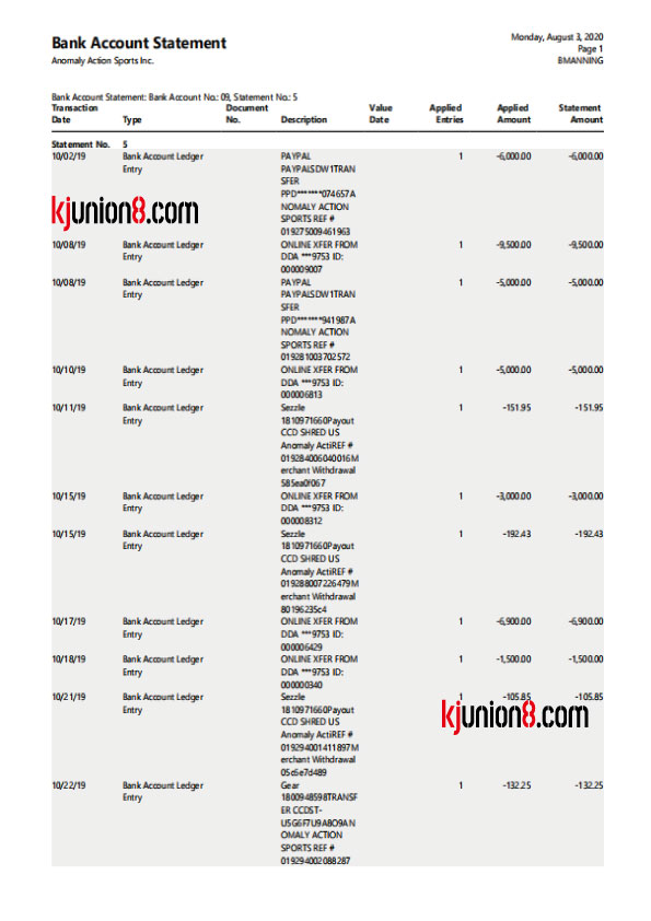 Anomaly-Action-Sports-Inc-银行对账单