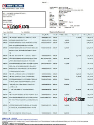 印度HDFC银行企业账户对账单