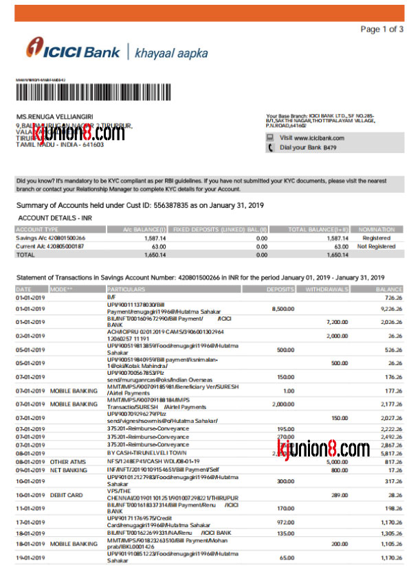 印度ICIC银行对账单