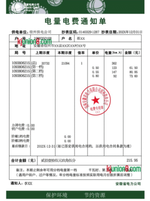 国家电网电费账单