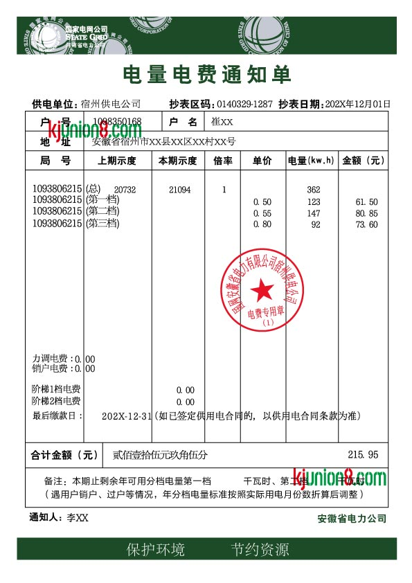 国家电网电费账单