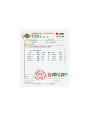 国家电网电费账单（小纸张版）