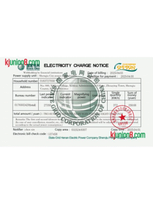 国家电网电费账单（英文版）