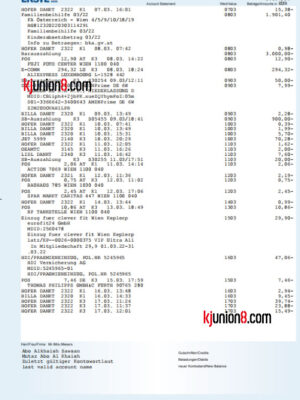 奥地利第一储蓄银行（ERSTE-Bank）对账单