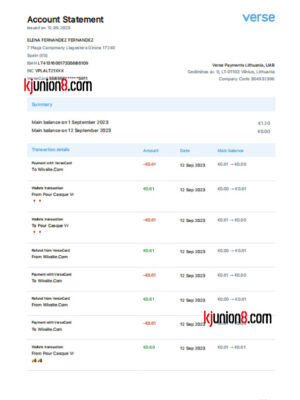 立陶宛Verse-Payments-账户对账单