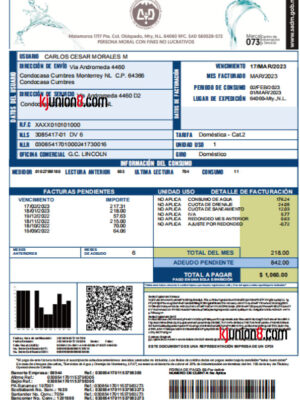 墨西哥新莱昂州水务局水费单 墨西哥水费账单