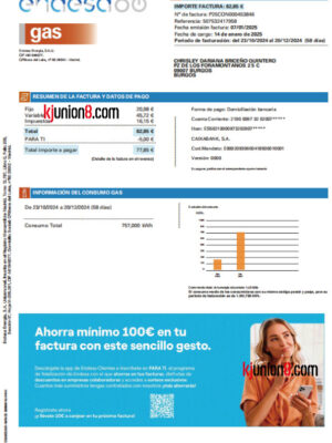 西班牙燃气账单 西班牙燃气账单