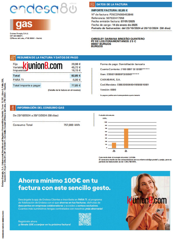 西班牙燃气账单 西班牙燃气账单