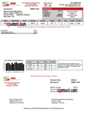 mei-guo-dian-li-kuan-dai-zhang-dan 美国电力+宽带账单模板,用于亚马逊地址申诉证明