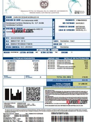 mo-xi-ge-shui-fei-zhang-dan 墨西哥新莱昂州水务局水费单