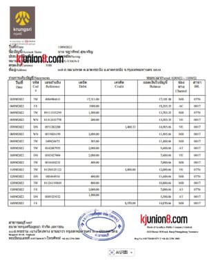 泰国大成银行储蓄账户对账单