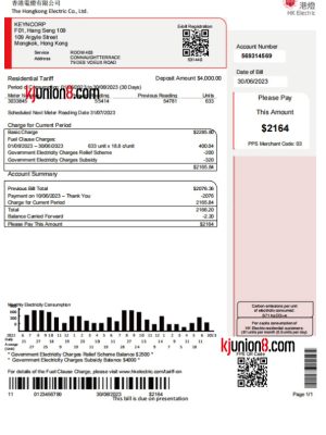 xiang-gang-dian-fei-zhang-dan 香港电费账单