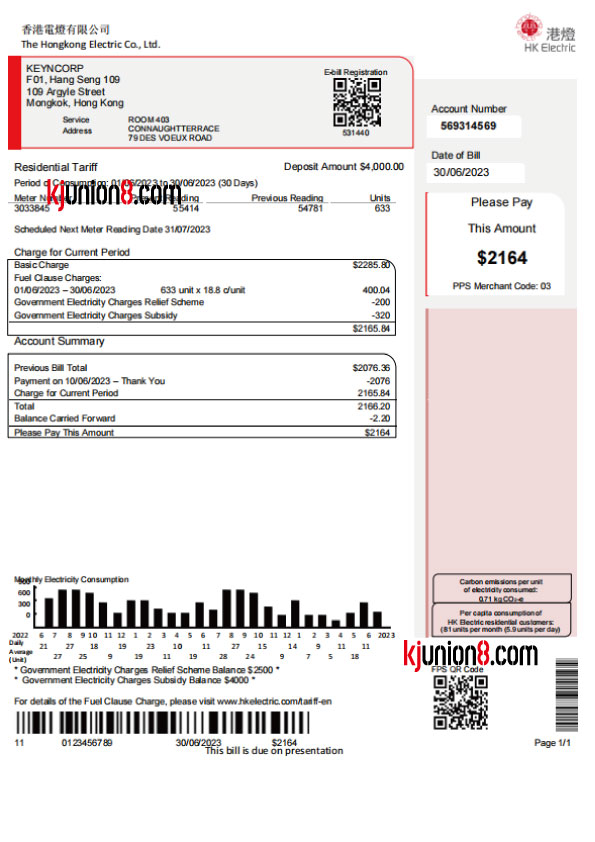 xiang-gang-dian-fei-zhang-dan 香港电费账单