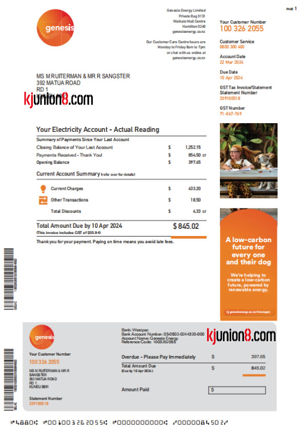 xin-xi-lan-dian-fei-zhang-dan 新西兰电费账单模板,用于亚马逊地址申诉证明