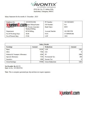 Avontix 员工工资单